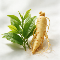 Thé vert + ginseng